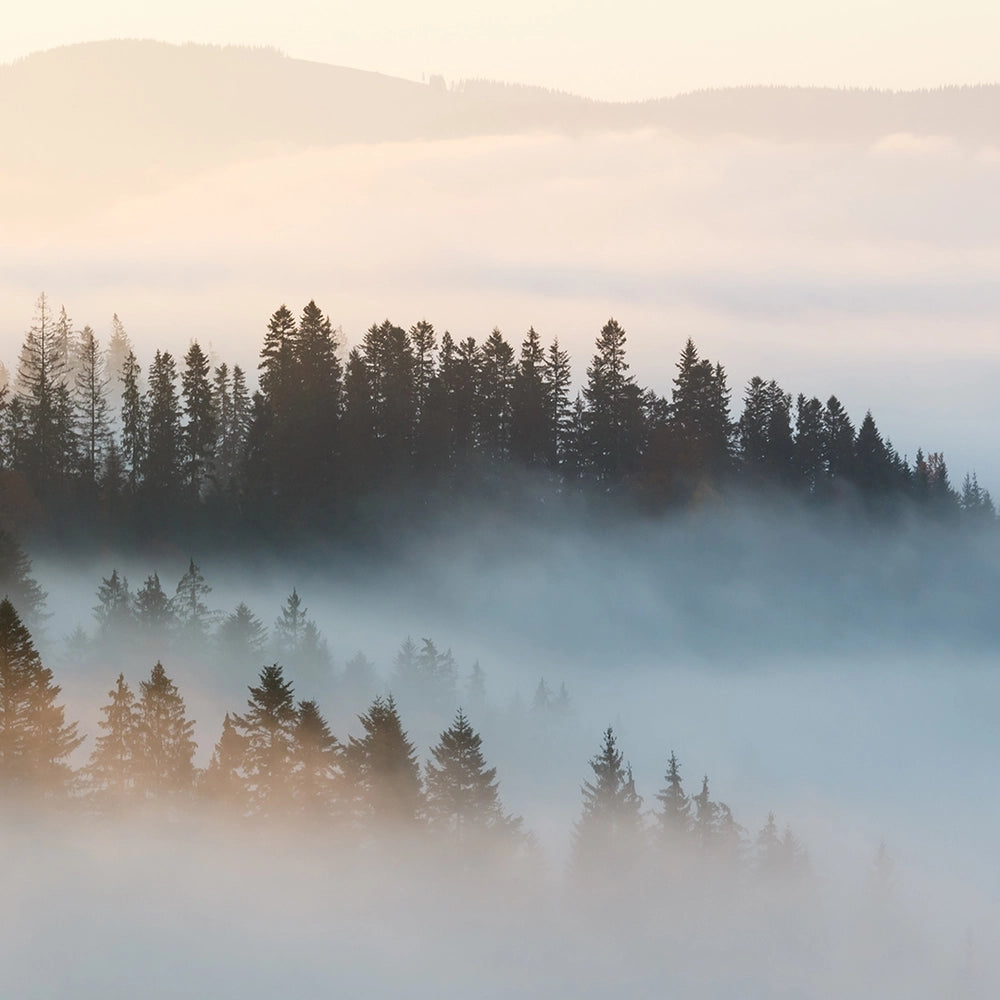 Mountain Mist Candle